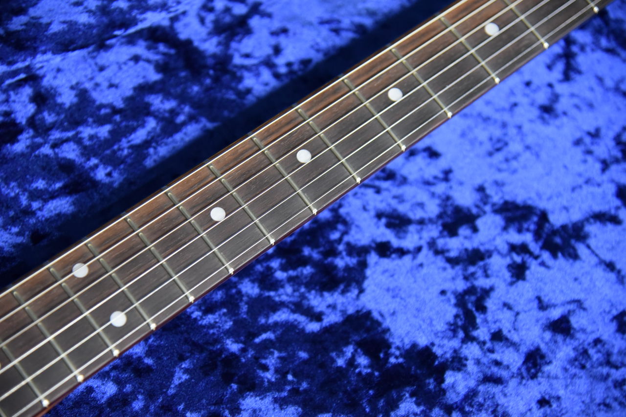 Tokai ATE103S N/R（新品）【楽器検索デジマート】