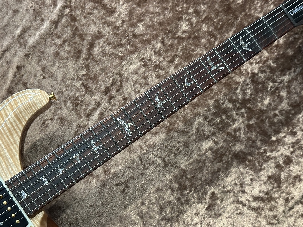 Paul Reed Smith(PRS) Wood Library Custom 24 -Natural- ≒3.465Kg