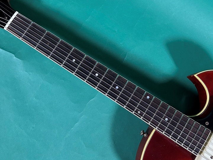 GUILD T-100D（ビンテージ）【楽器検索デジマート】