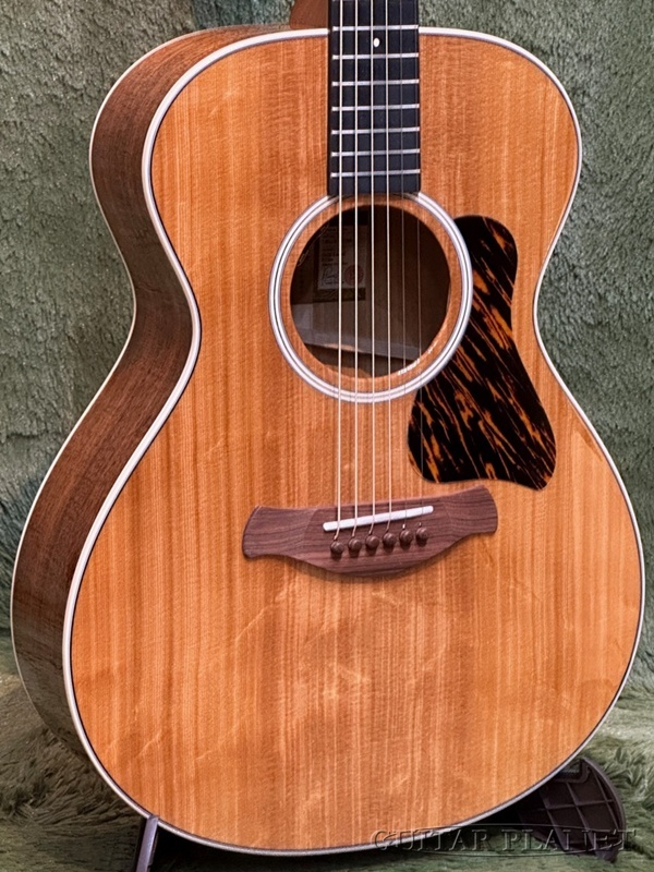 Taylor 【New Model‼】Gold Label 512e Grand Concert Deep Body
