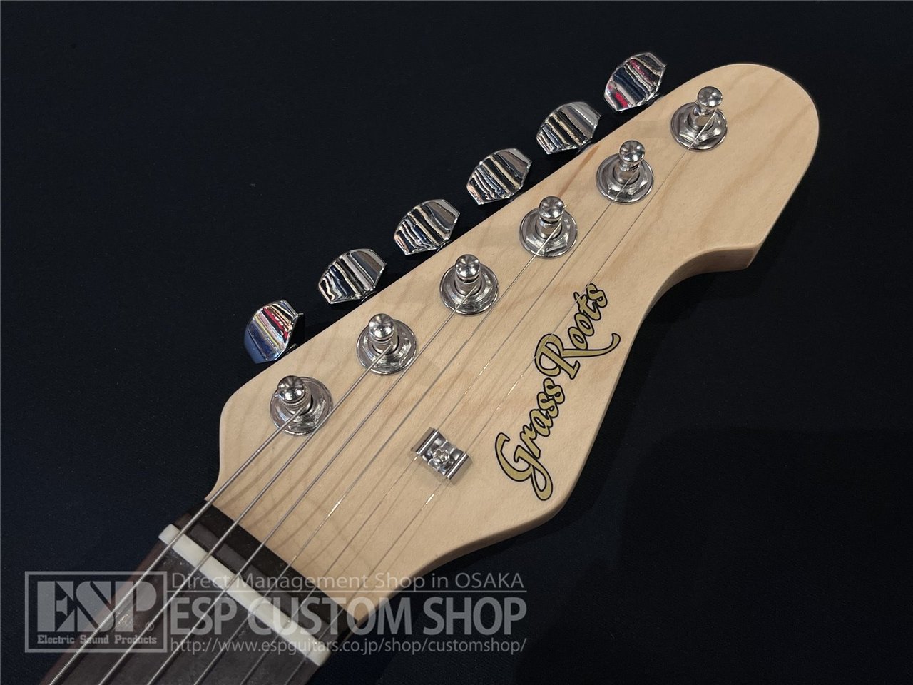 GrassRoots G-SNAPPER-DX See Thru Brown（新品/送料無料）【楽器検索