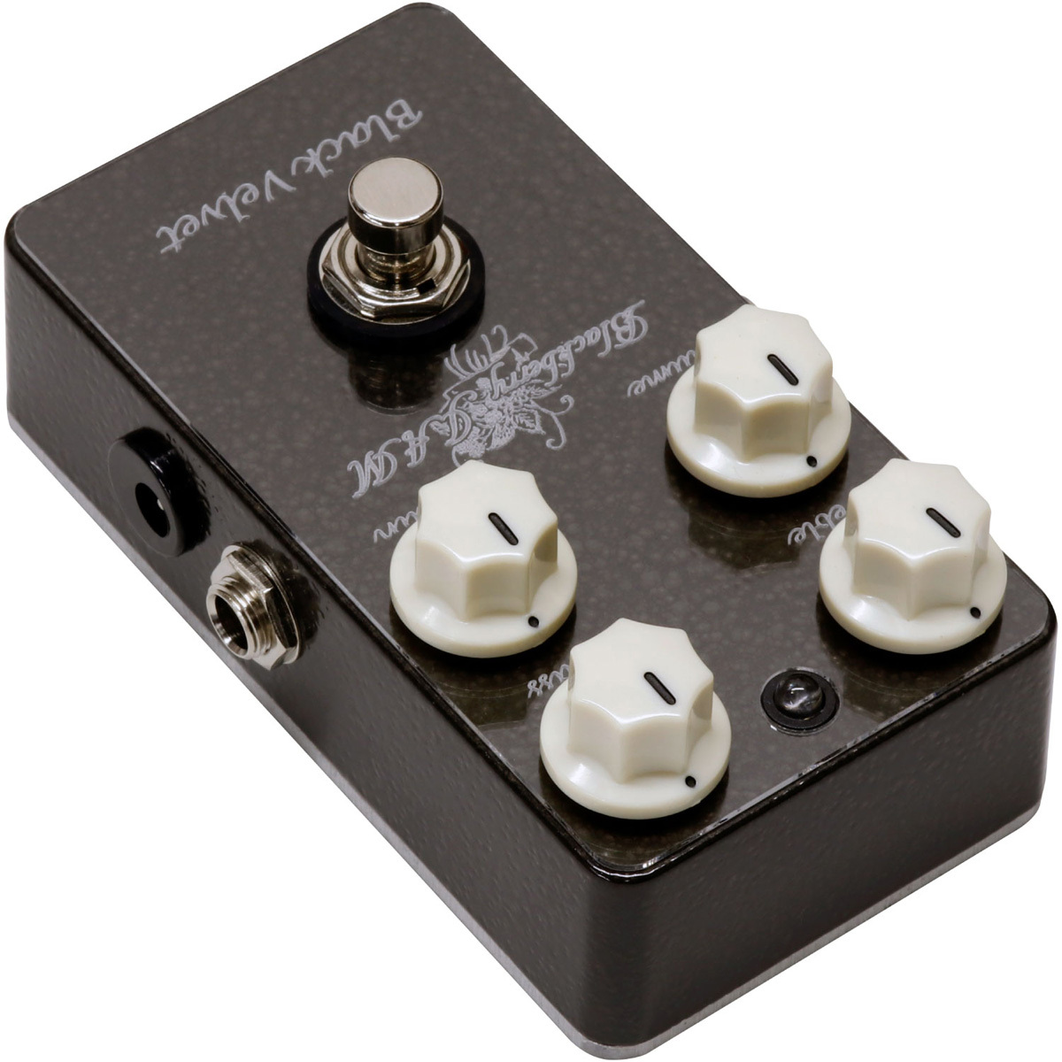Blackberry JAM Black Velvet【渋谷店】（新品）【楽器検索