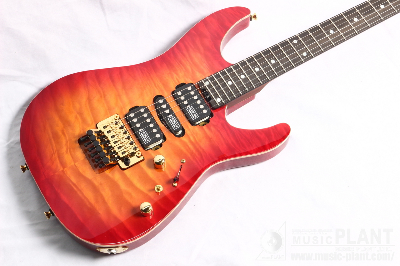 SCHECTER EX-5B-24-CTM-FTR-PFN/CHSB/E（新品特価/送料無料）【楽器