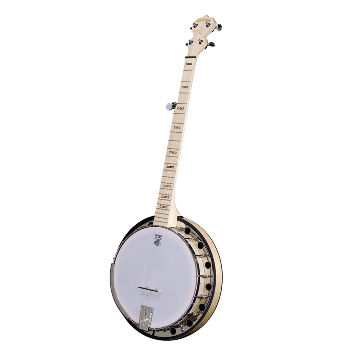 Deering Goodtime Two Banjo Resonator back 5弦バンジョー ディー