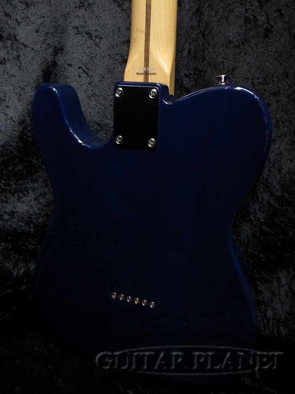 Tokai ATE-102/M IB（新品）【楽器検索デジマート】