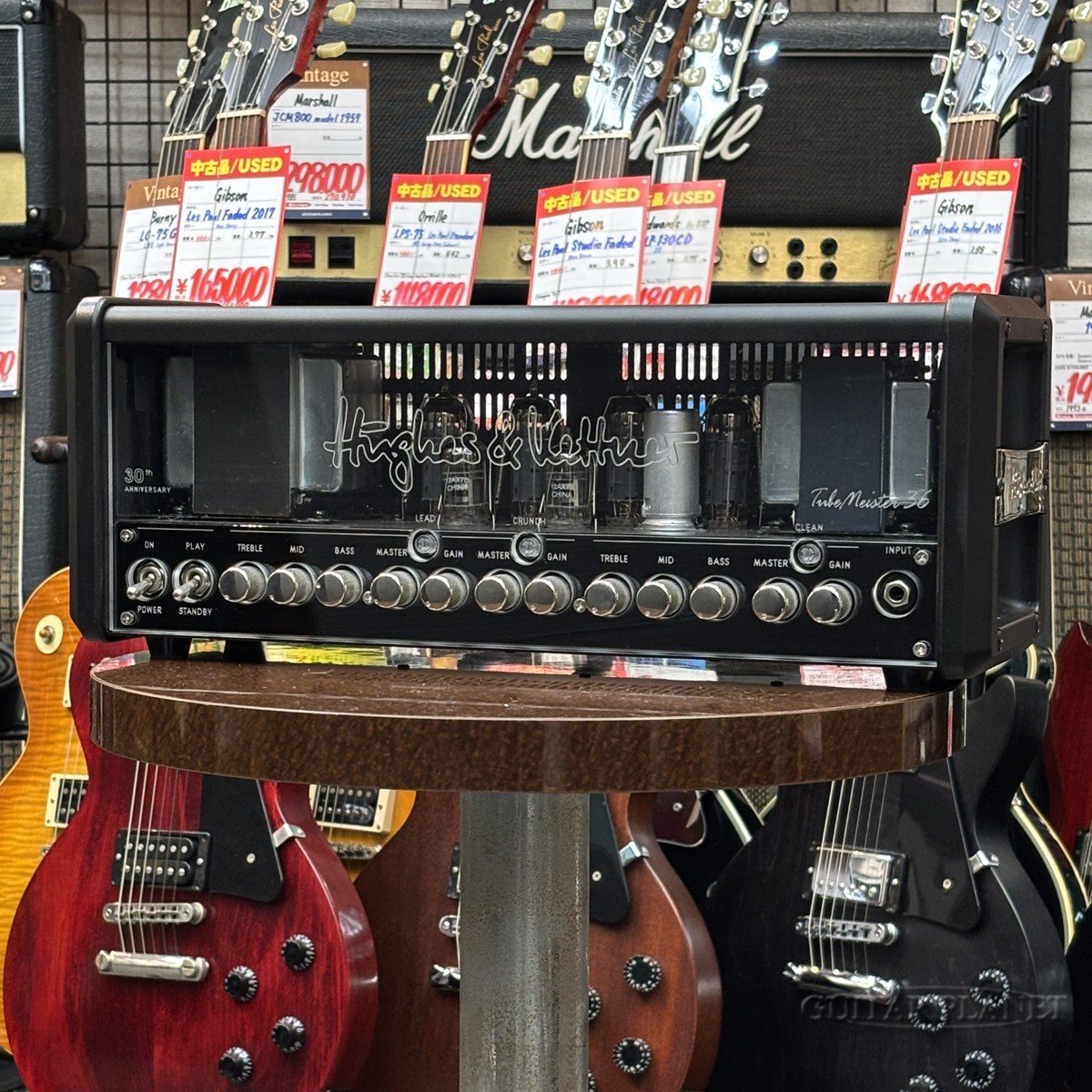 Hughes&Kettner 30th Anniversary Tube Meister 36 Head 2014年製【36W