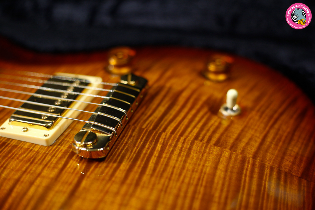 Paul Reed Smith(PRS) Rosewood LTD #2｜Tree Of Life｜Violin Amber 