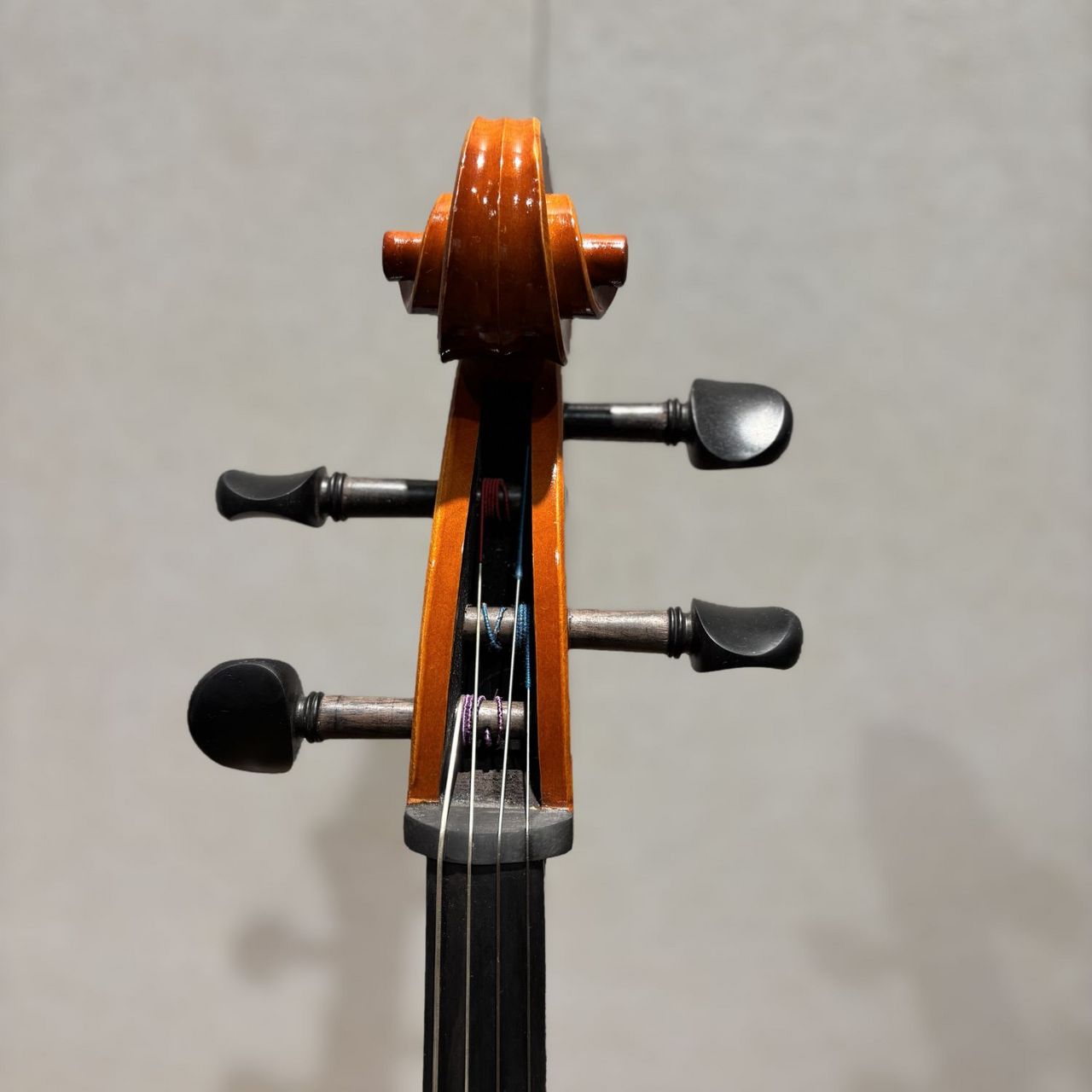 Andreas Eastman VC100 4/4 チェロ　イーストマン Eastman Eastman VC100 4/4 チェロセット（新品/送料無料）【楽器検索