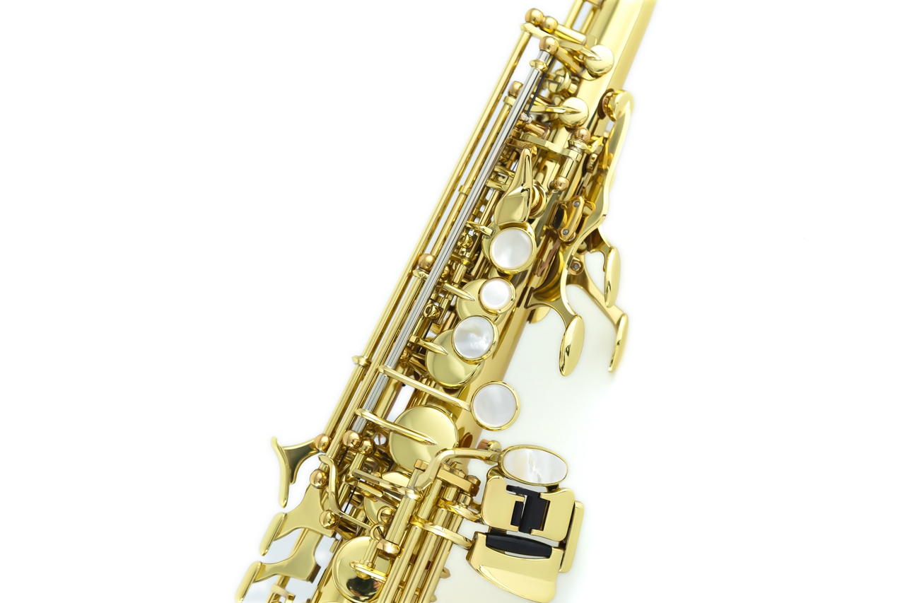 YANAGISAWA S-WO1 