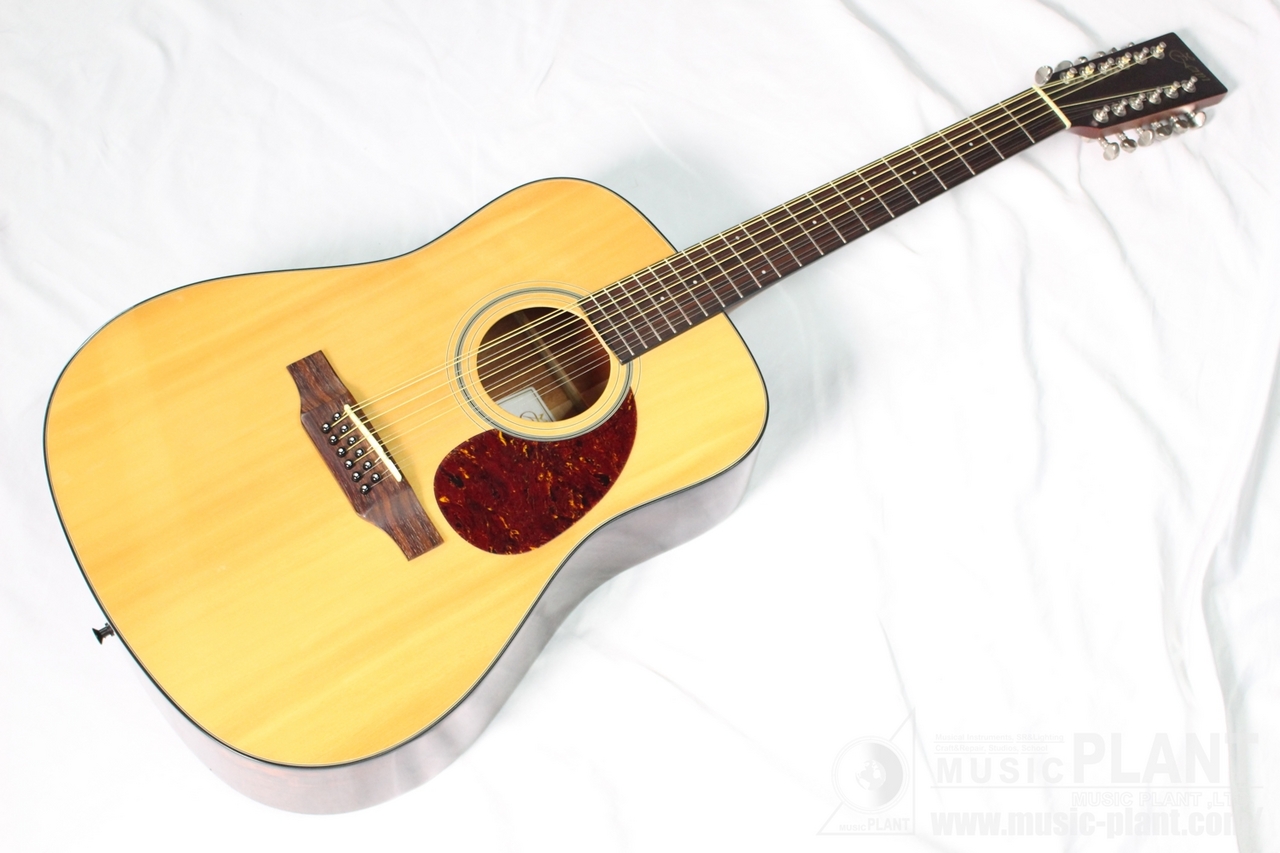 メンテナンス済✩Zenn 12弦アコースティックギター ZD24-12 メンテナンス済Zenn 12弦アコースティックギター ZD24-12