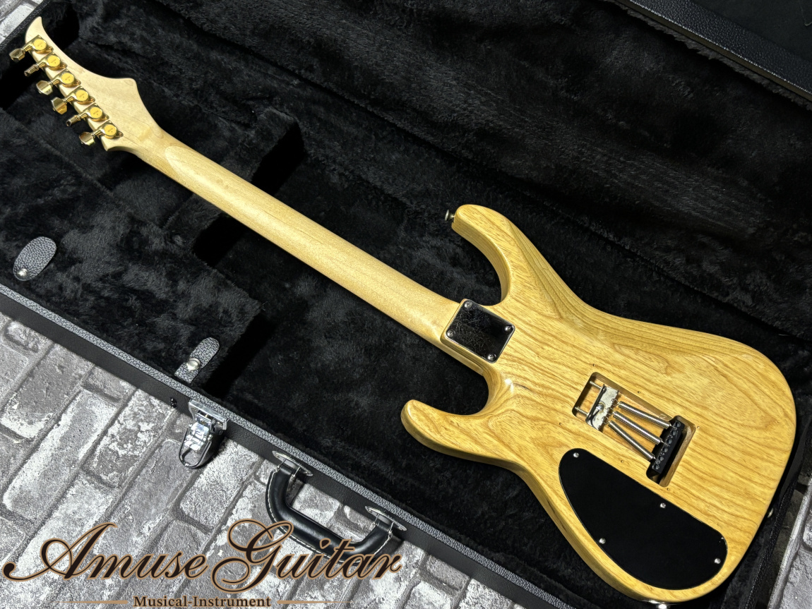 T's Guitars DH-250 ネック　ブリッジ 中古】 エレキギター T's Guitars DST-CLASSIC 24 Ocean Blue