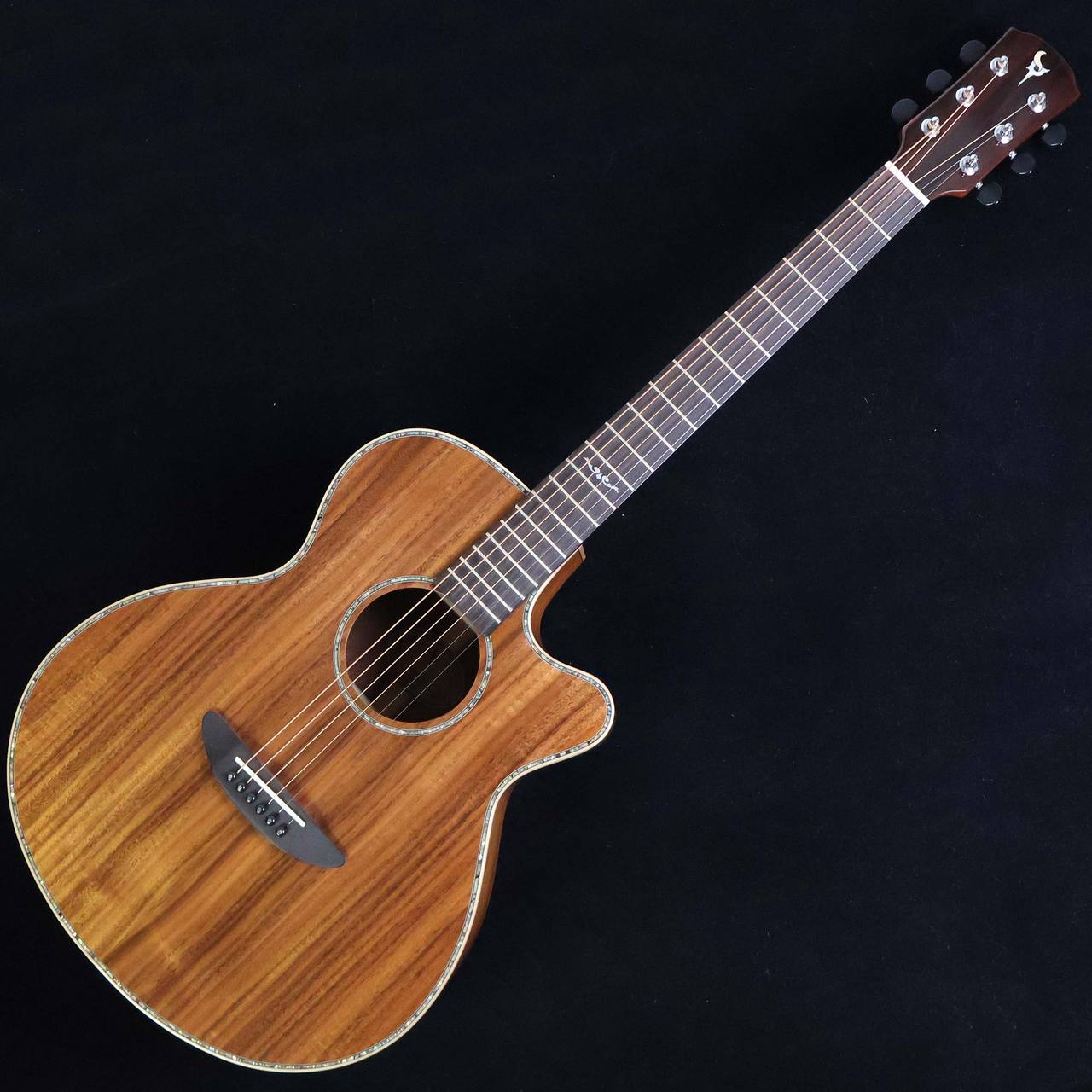 DCT VR-645KCE 【エレアコ】 【未展示品】（新品/送料無料）【楽器検索