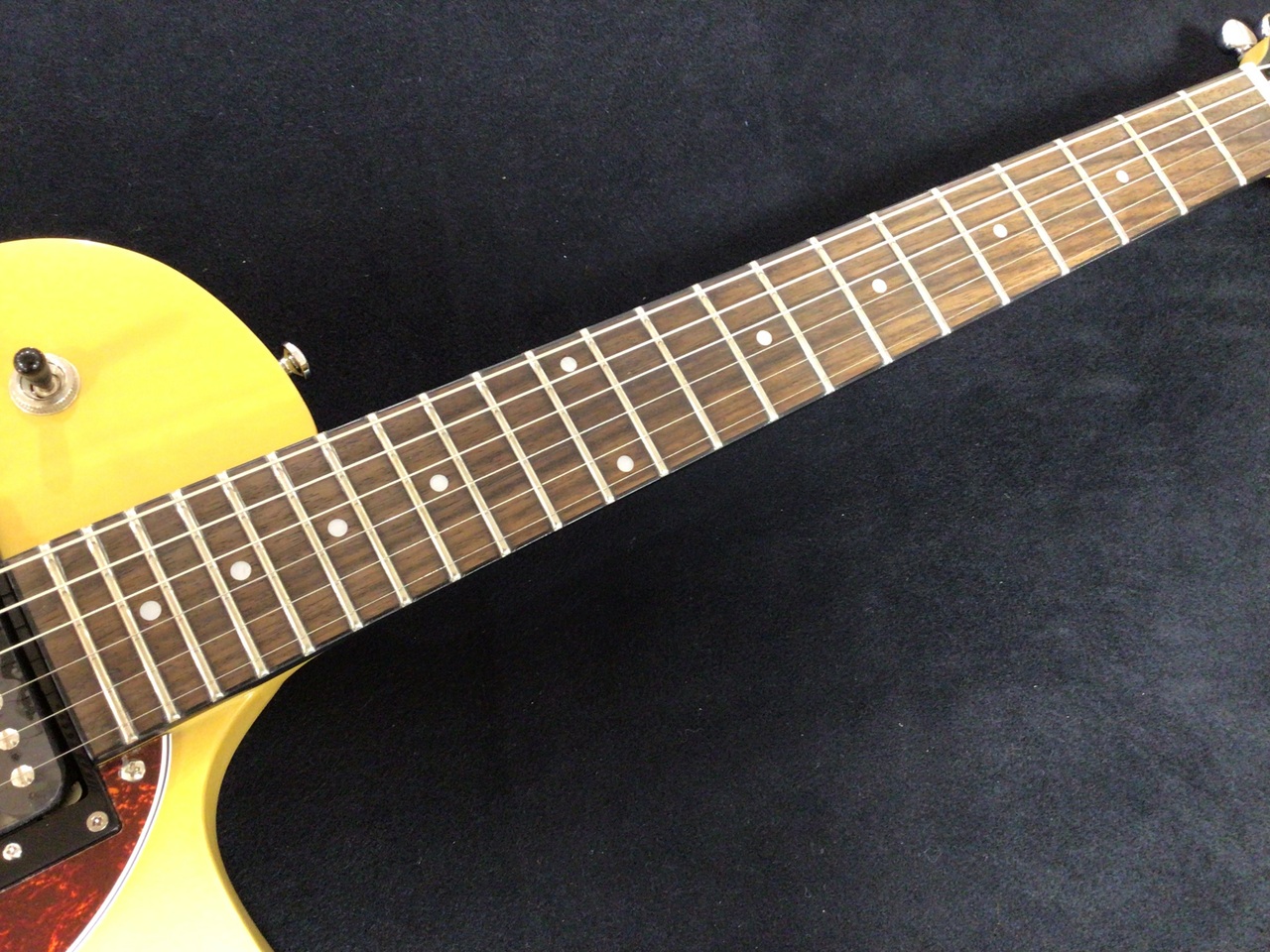Sire Larry Carlton L3 HH TVY（新品/送料無料）【楽器検索デジマート】
