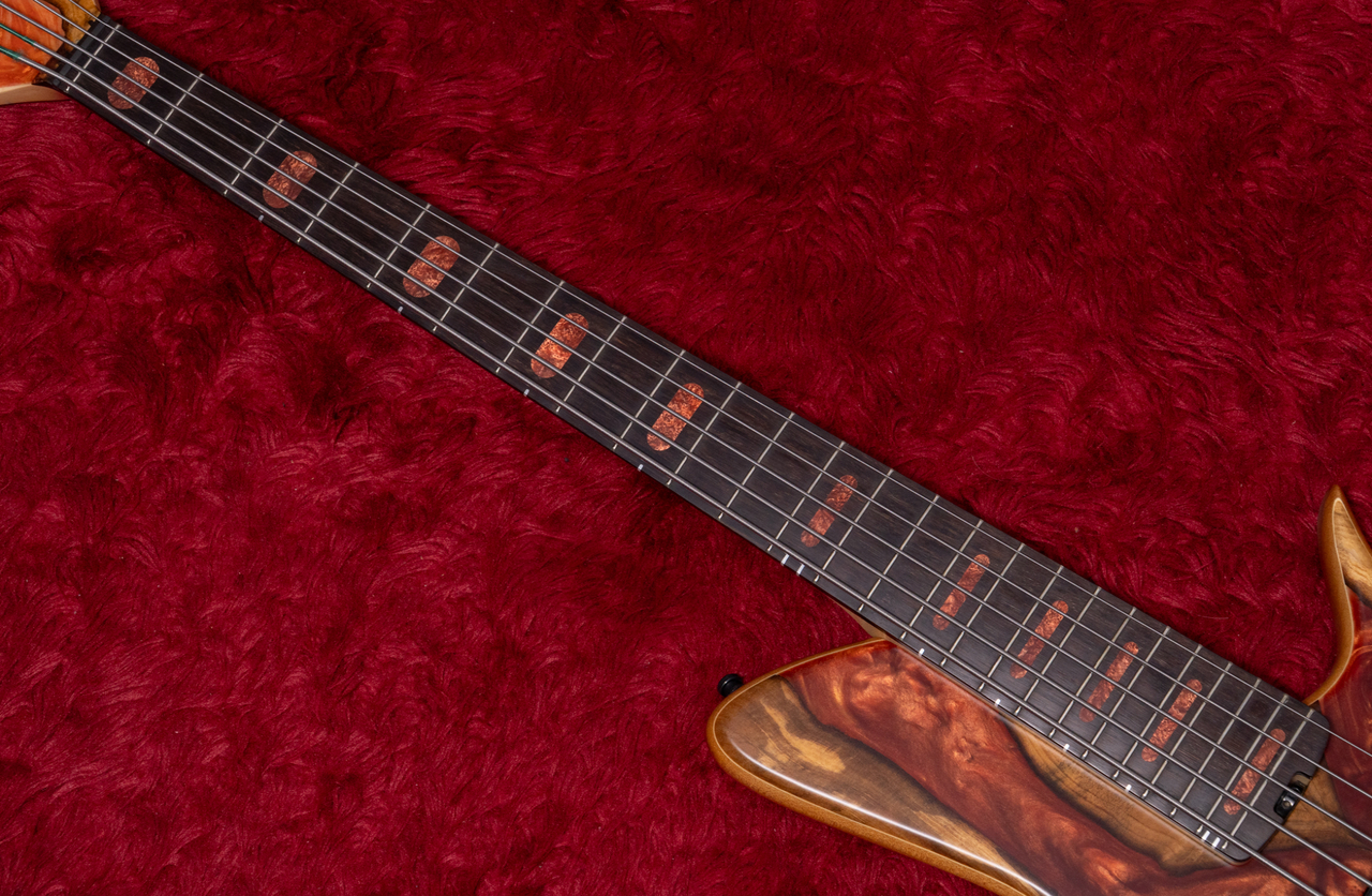 Meridian Guitars Horizon 5 Custom 4.520kg #00523【GIB横浜】（新品