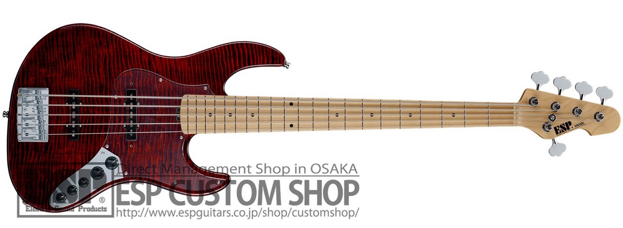 ESP AMAZE-CTM-SL5 FM/M See Thru Black Cherry