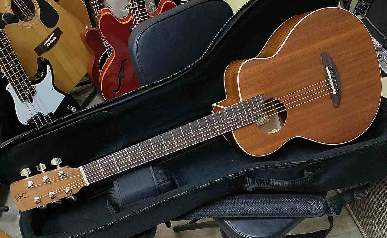 aNueNue aNN-M2 アヌエヌエ M2 ミニギター マイク搭載（新品特価