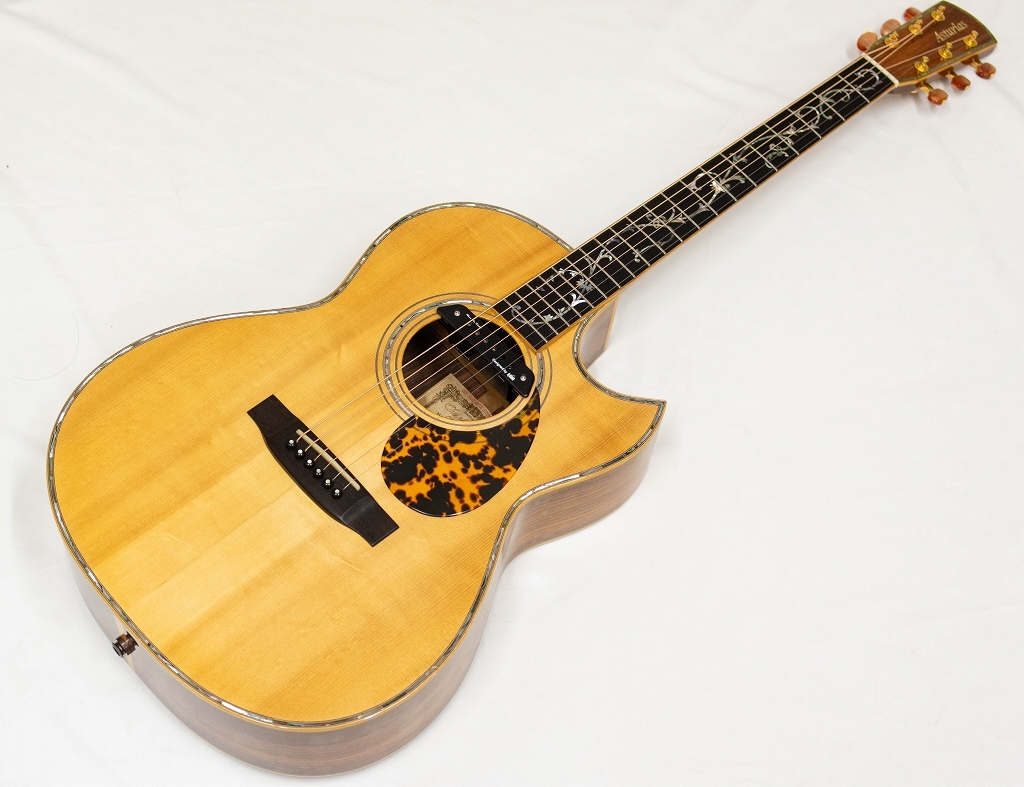 ASTURIAS TREE OF LIFE CONSERT 1992（中古/送料無料）【楽器