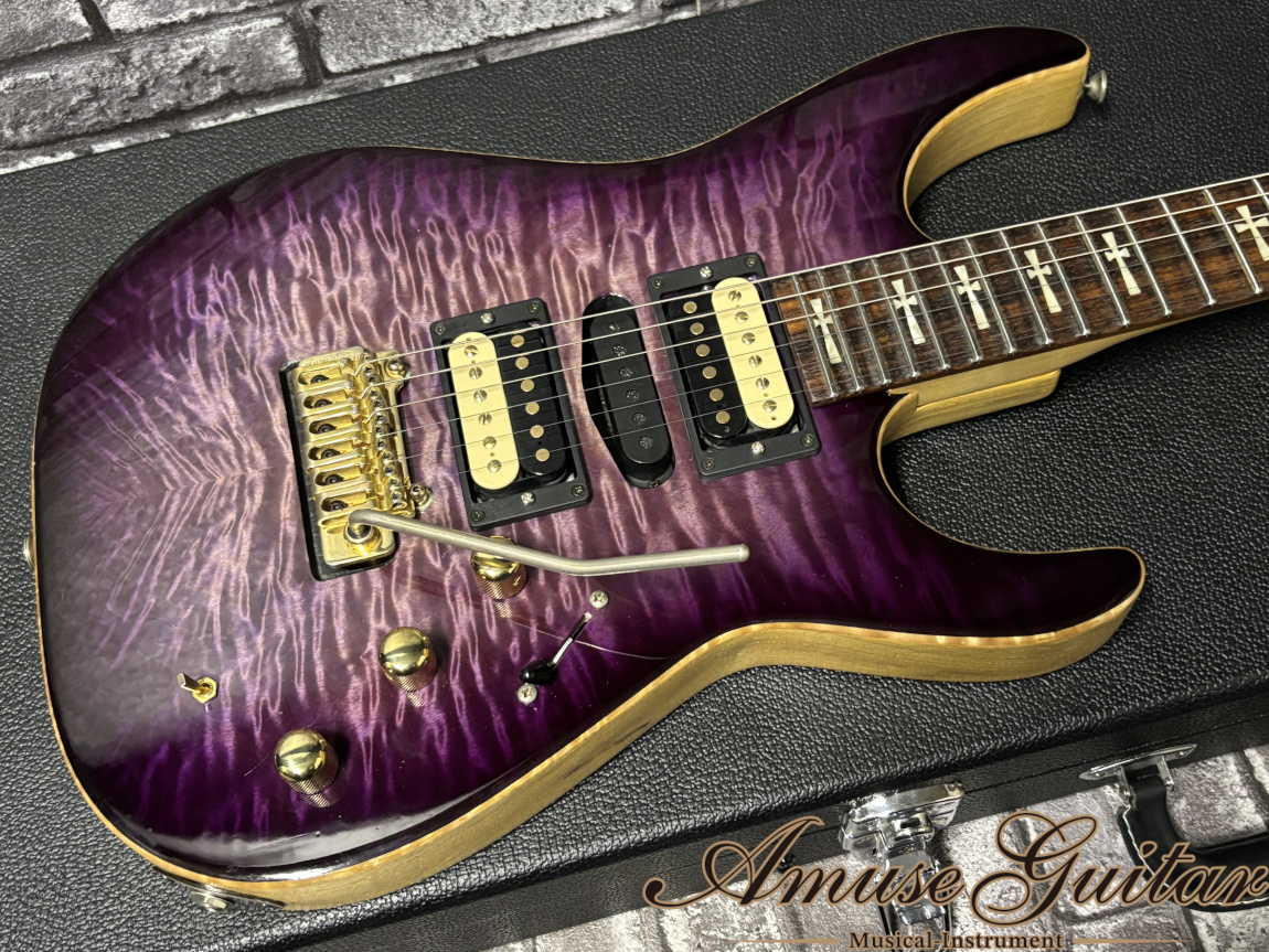 T's Guitars DH-250 ネック　ブリッジ T's Guitars DH-250 ネック ブリッジ T's Guitars DST-Pro 24