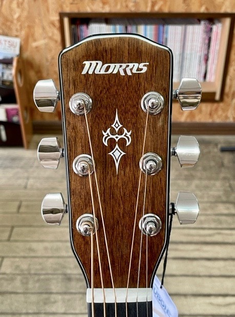 Morris F-025（新品）【楽器検索デジマート】