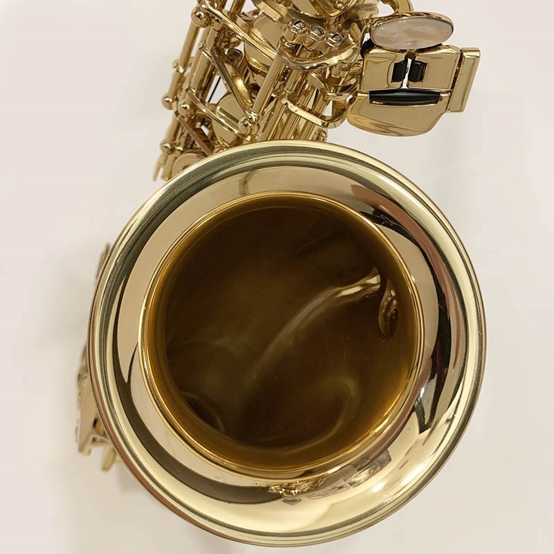 Selmer Paris セルマー アルトサックス SA-80II Jubilee GL S/N:789xx0 