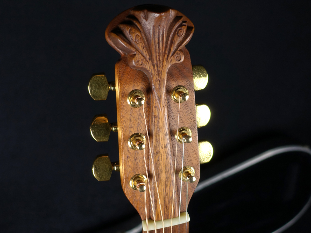 特注スーパーアダマス 1587-X　Ovation Adamas OVATION Super Adamas 1587-8|ドルフィンギターズ