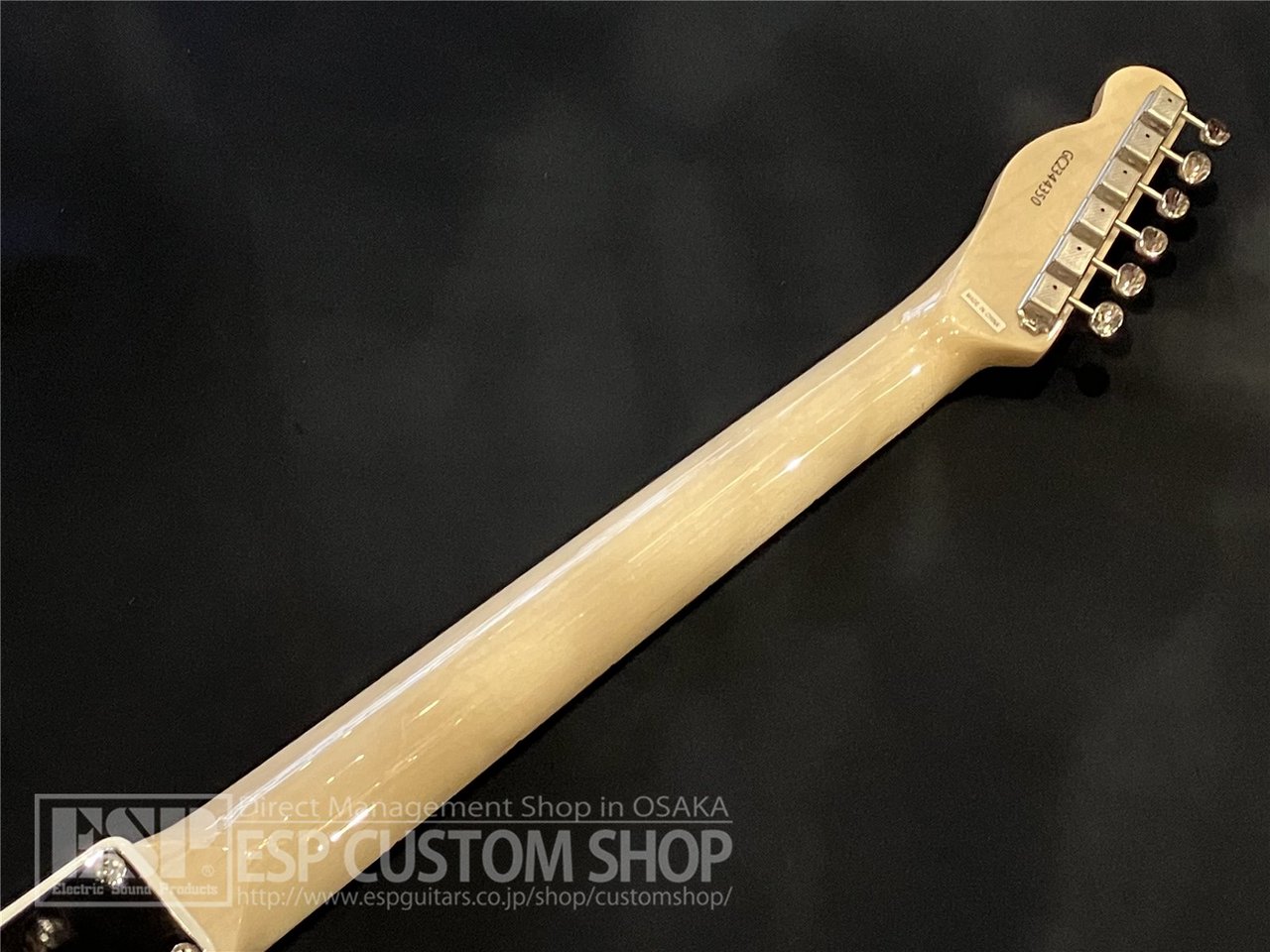 GRASSROOTS G-TE/M Snow White エレキギター GrassRoots G-TE/M / Snow White（新品/送料無料）【楽器検索