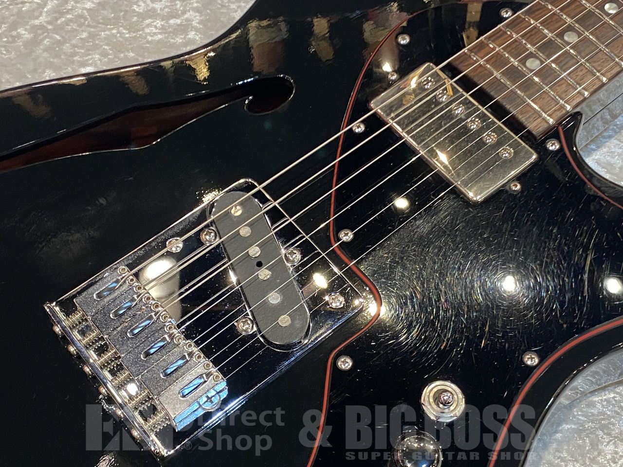 FREEDOM CUSTOM GUITAR RESEARCH C.O.Black Pepper w/preamp（中古