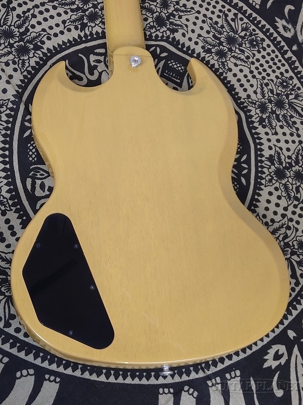 Gibson 【セカンド品】SG Standard -TV Yellow- 【#224240252】【軽量