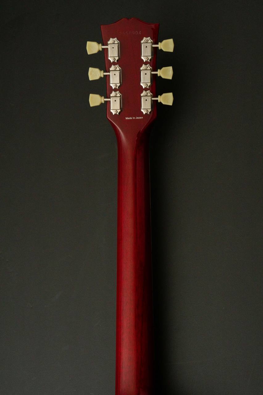 Tokai LS-101-CM 