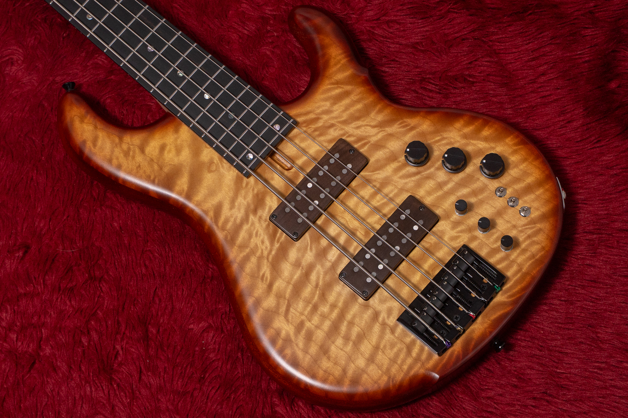 dragonfly 5弦ベース DRAGONFLY 5弦エレキベース SHB-5345 CUSTOM 動作