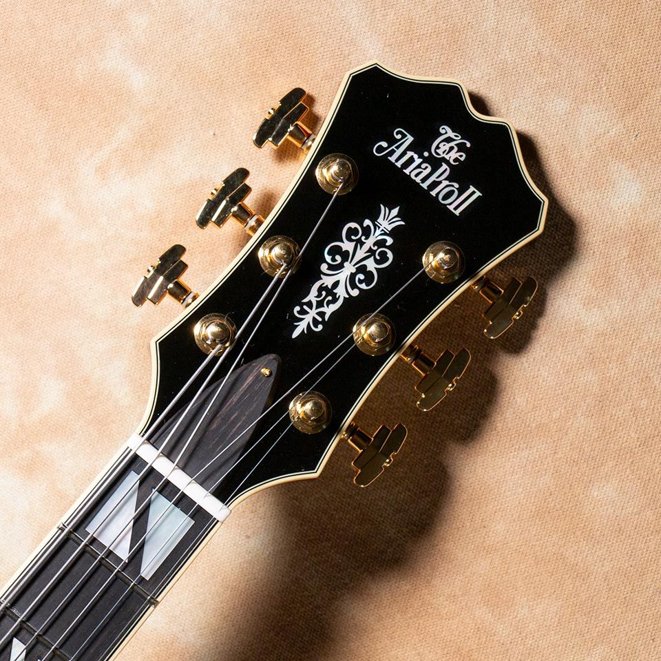 Aria Pro II FA-2100 ALB(Almond Burst)【お取り寄せ商品