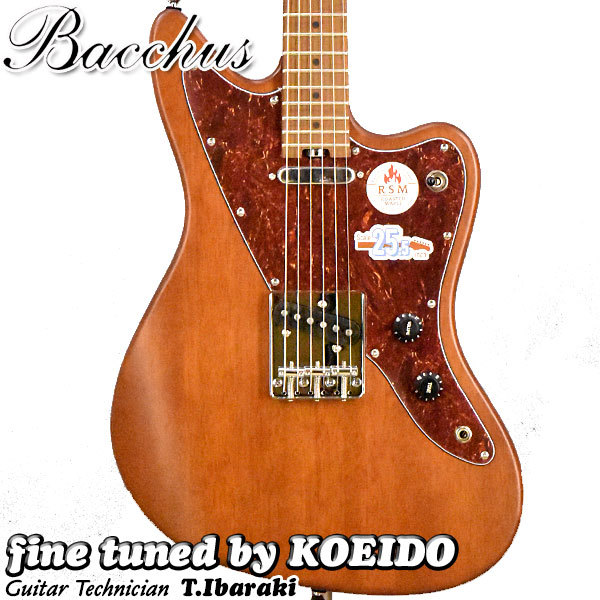 Bacchus Bacchus WINDY-BREAKER/RSM BR-S 【アウトレット特価】【小樽