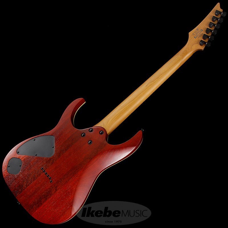 Ibanez アイバニーズ RG421HPAM ABL Ibanez RG421HPAM ABL | Eletric Guitar | Salão Musical