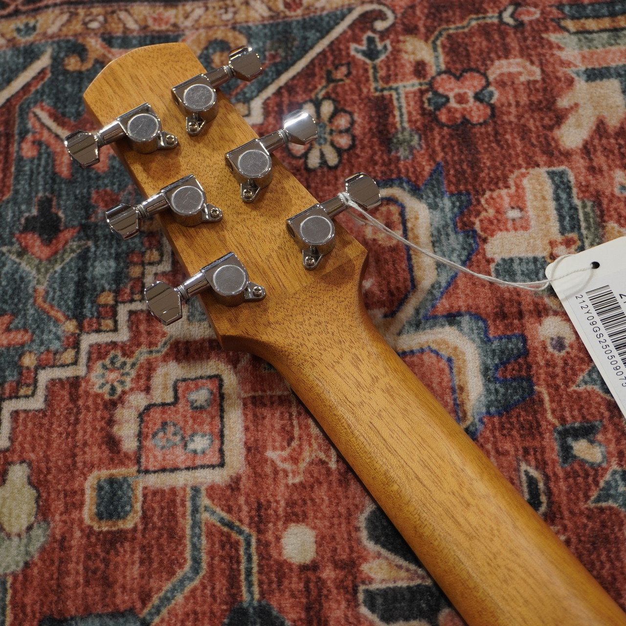 Ibanez EWP14WB-OPN (Open Pore Natural)【WINTER SELECTION特価