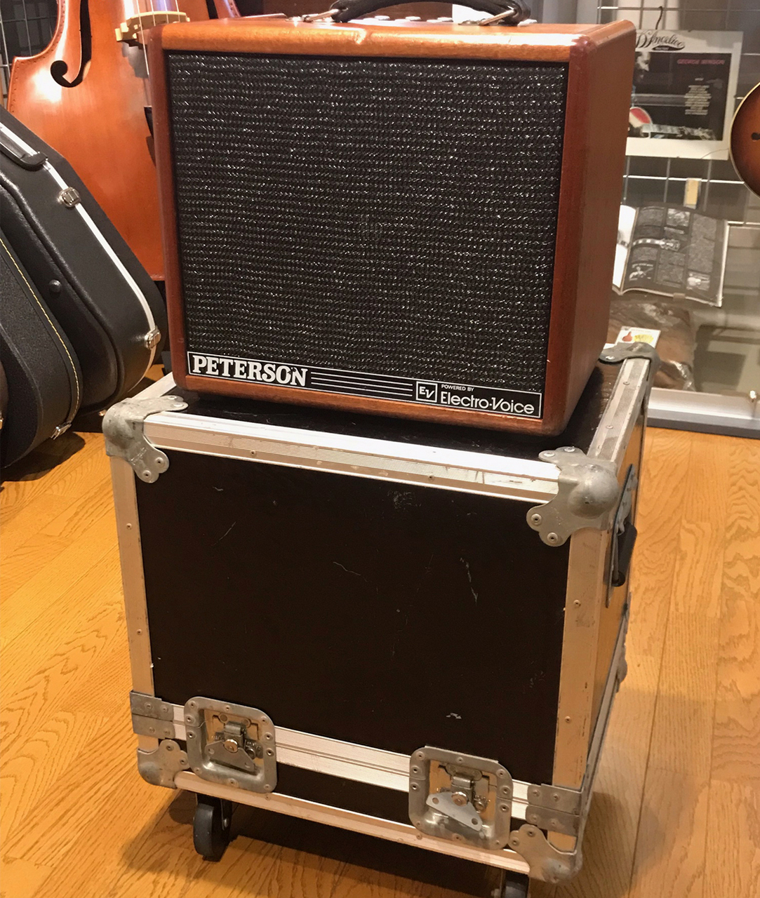 TERSON Guitar Special P100G MKⅡジャンク - アンプ