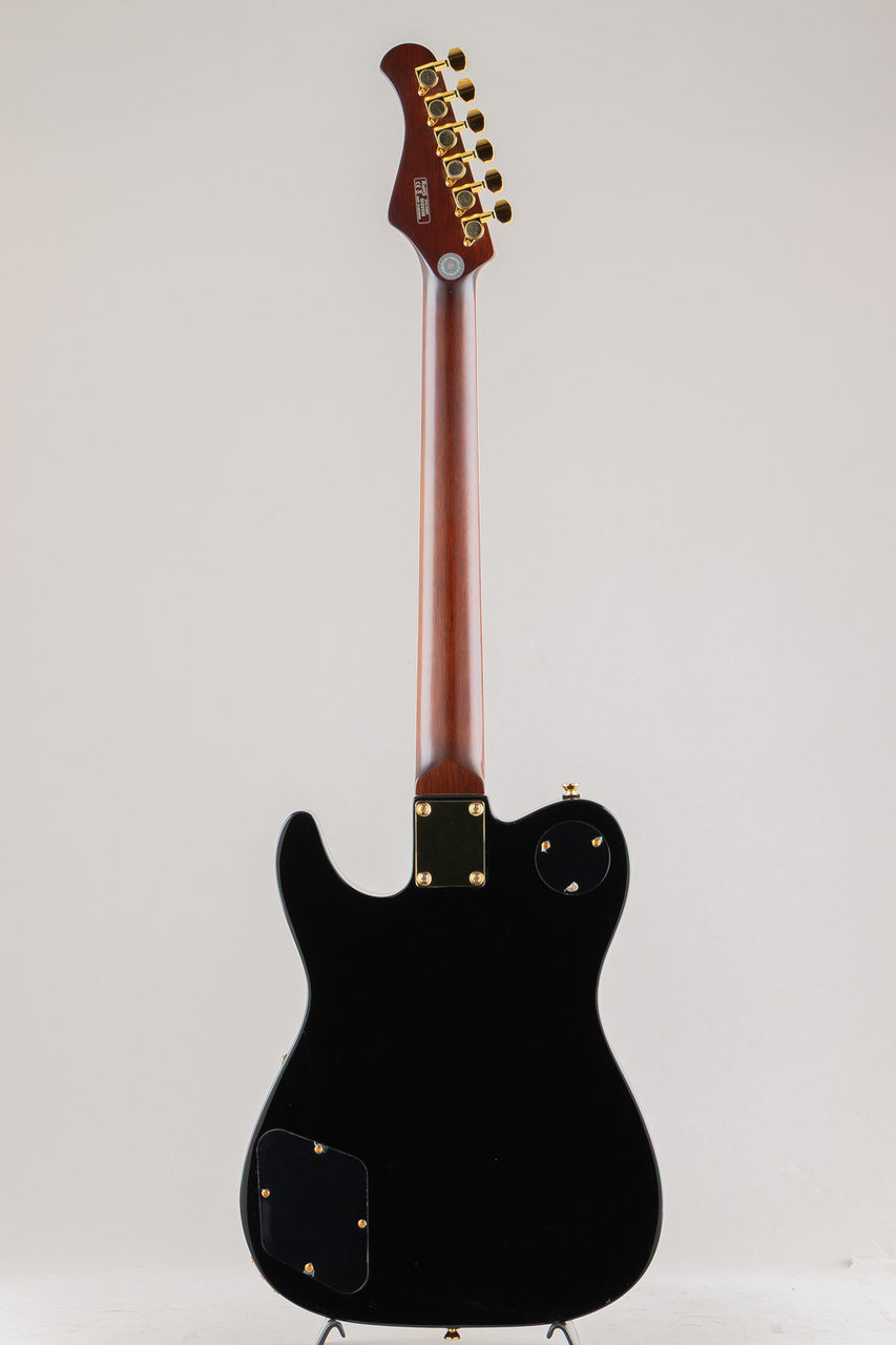 Bacchus BARON-CTM Alnico（新品/送料無料）【楽器検索デジマート】