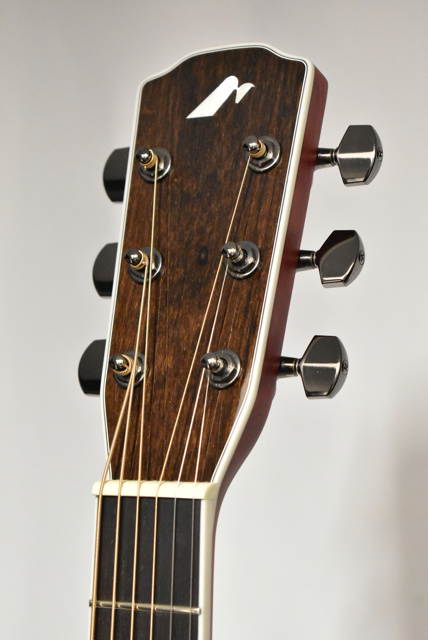 Morris R-14G CS(チェリーサンバースト) 【国産エレアコ】（新品