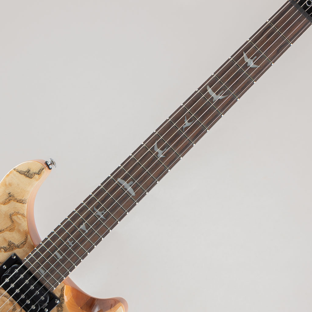 Paul Reed Smith(PRS) SE Custom 24 Burled Ash Limited Edition