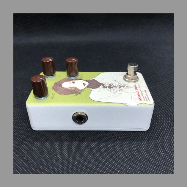 Animals Pedal Custom Illustrated 040 Sunday Afternoon Is Infinity