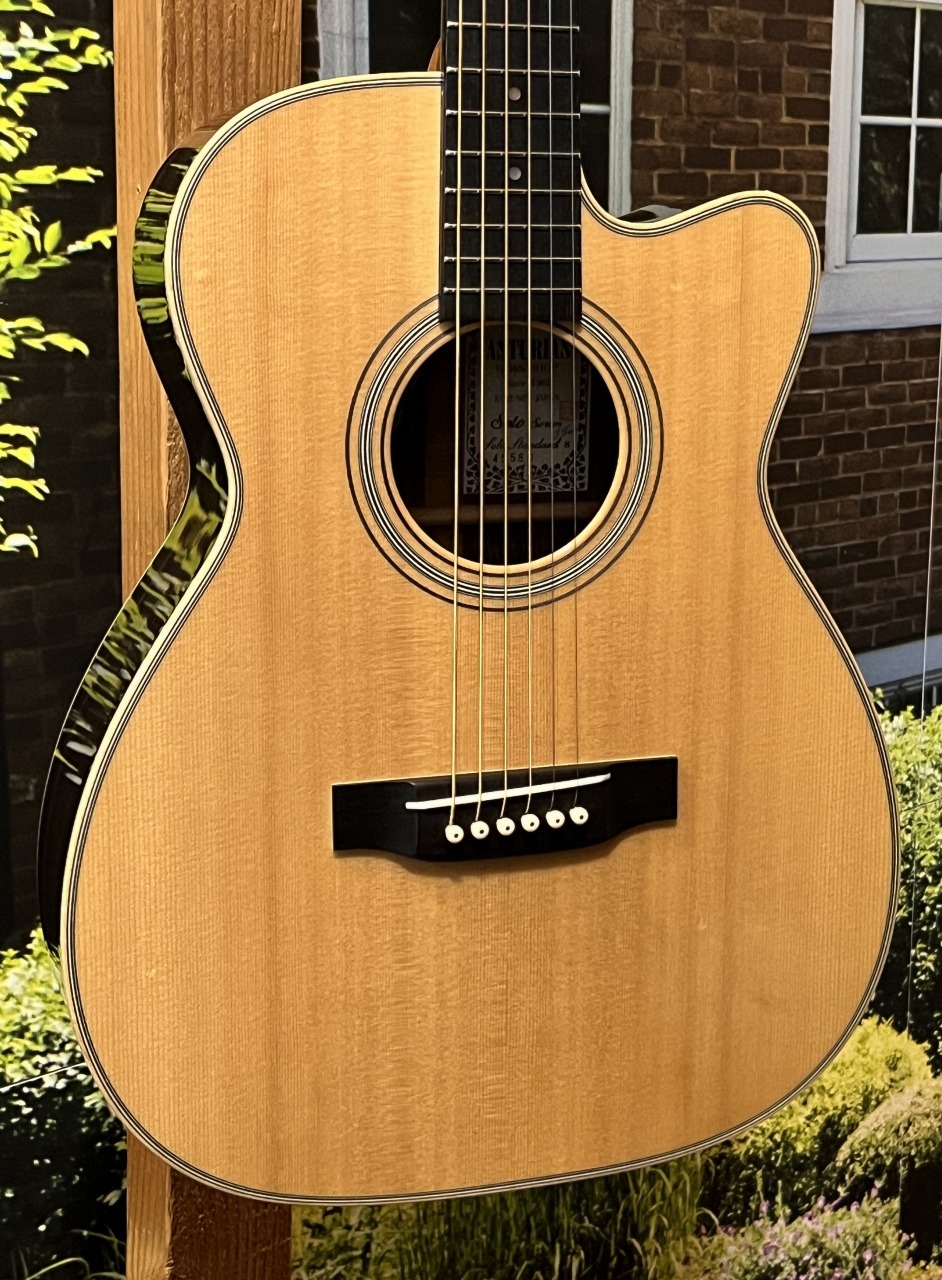 Asturias Solo Standard 国産　最終値下げ ASTURIAS 【日本総本店】【美品中古品】Solo Standard PU【48回無金利