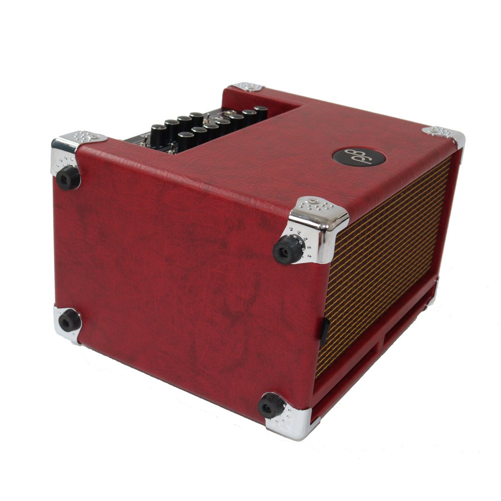 [美品中古]PHIL JONES BG-100 BassCub ベースアンプ Phil Jones Bass 【中古】 ベースアンプ PHIL JONES BASS CUB BG