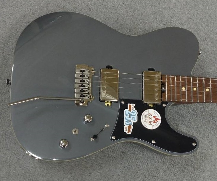 Bacchus Bacchus Global Series / TACTICS24-STD/RSM (Gun-M) 24