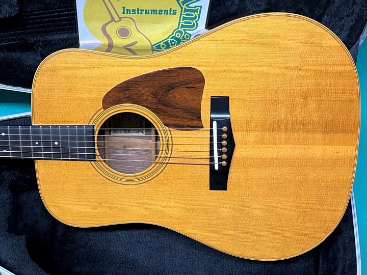Ibanez AW-100（中古）【楽器検索デジマート】