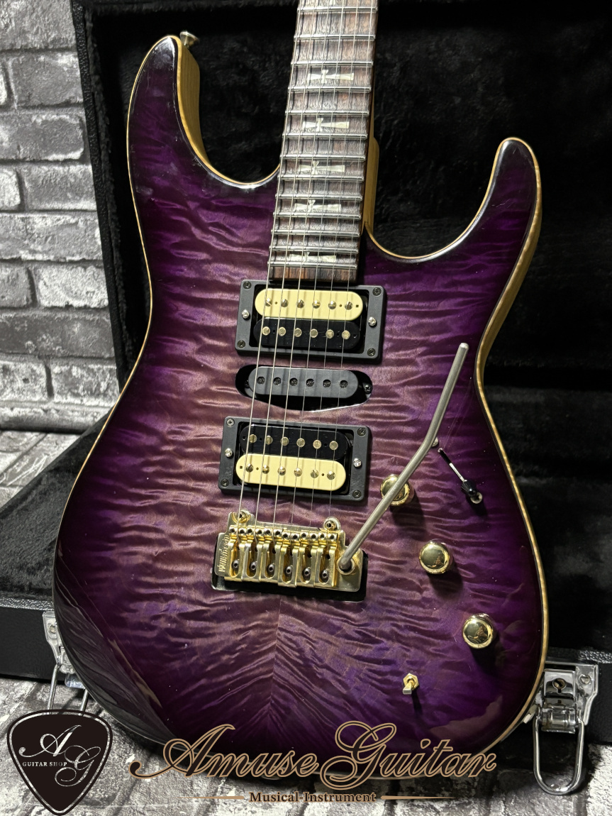 T's Guitars DH-250 ネック　ブリッジ T's Guitars DH-250 ネック ブリッジ T's Guitars DST-Pro24
