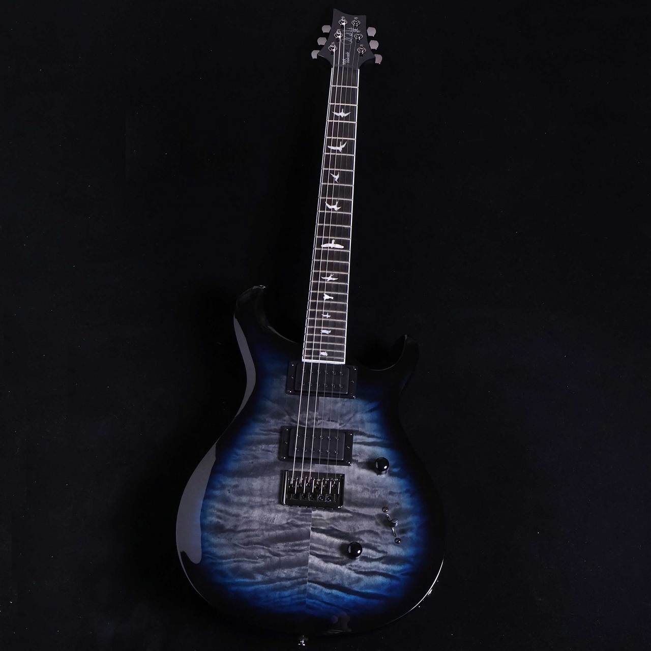 PRS SE Mark Holcomb 6弦仕様