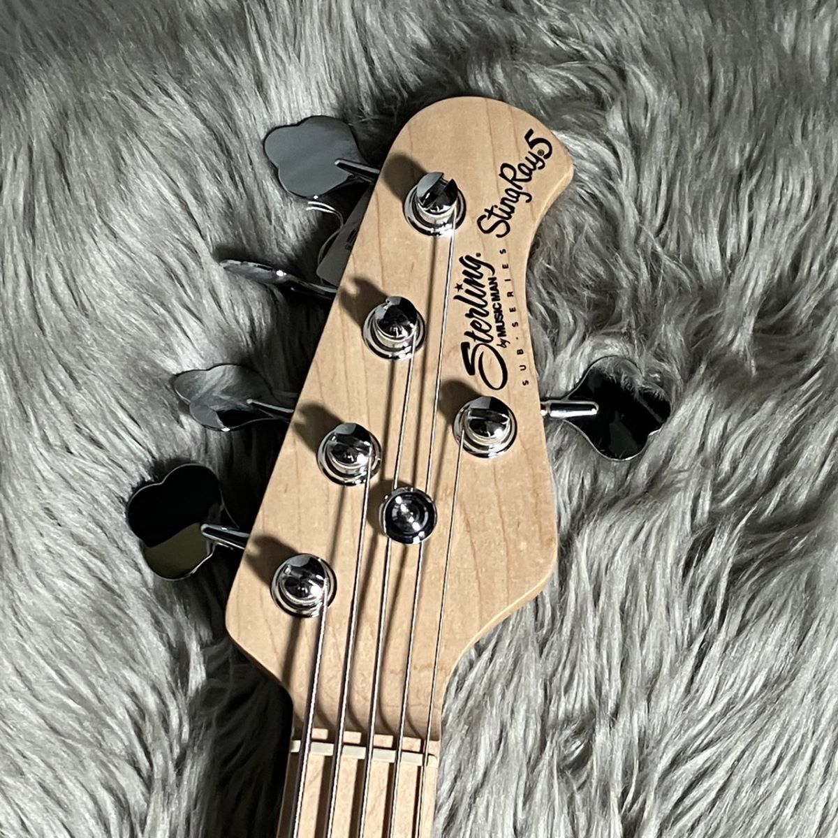 Sterling by MUSIC MAN RAY5/M BK【現物画像】（中古/送料無料）【楽器