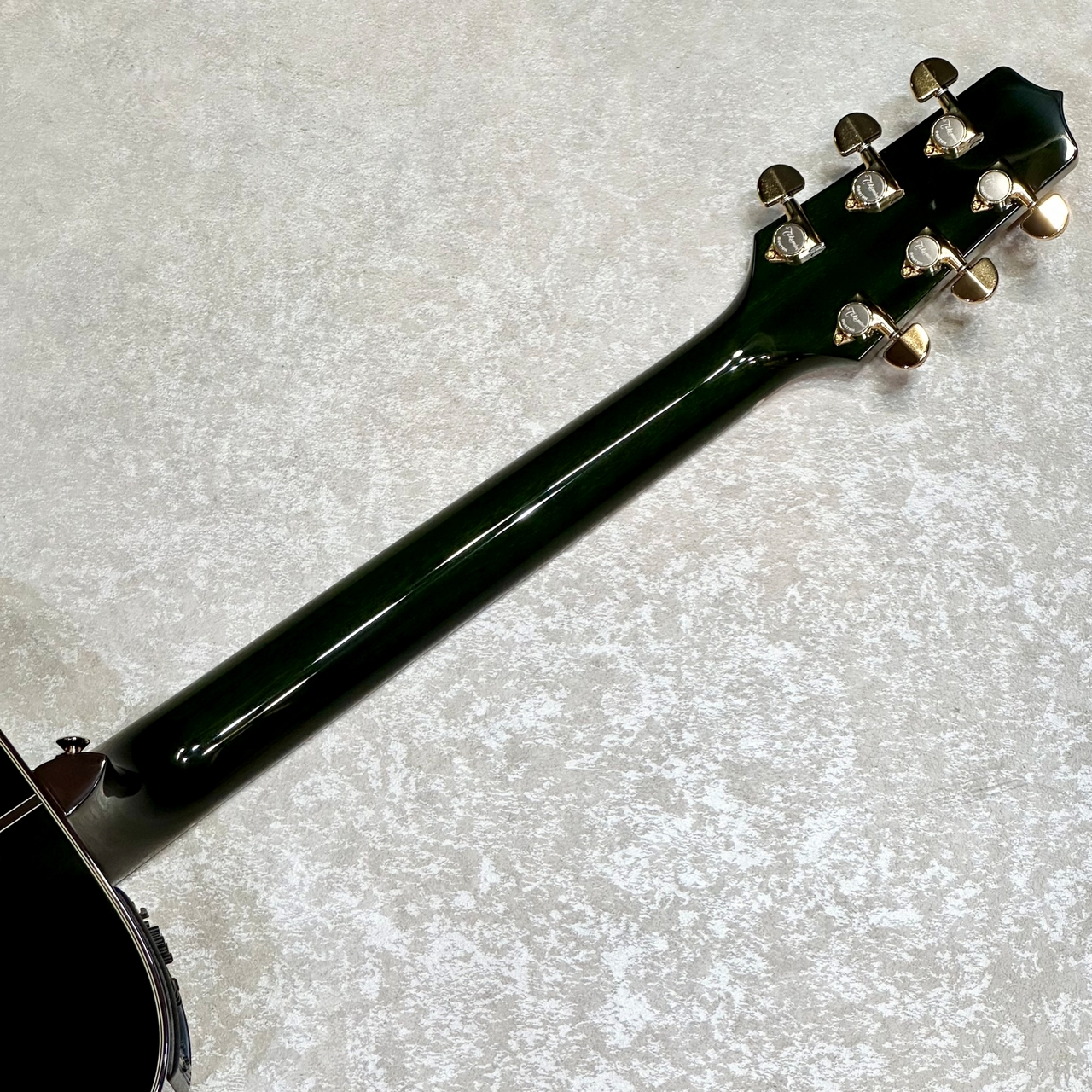 Takamine 【現物動画あり】700 CTM 蓮の花(ハスノハナ)【生産数1本