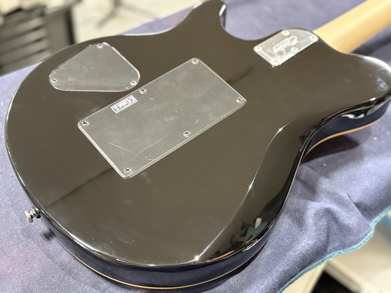 Sterling by MUSIC MAN 【即発送・アウトレット特価】AX40 TGO/1点限り