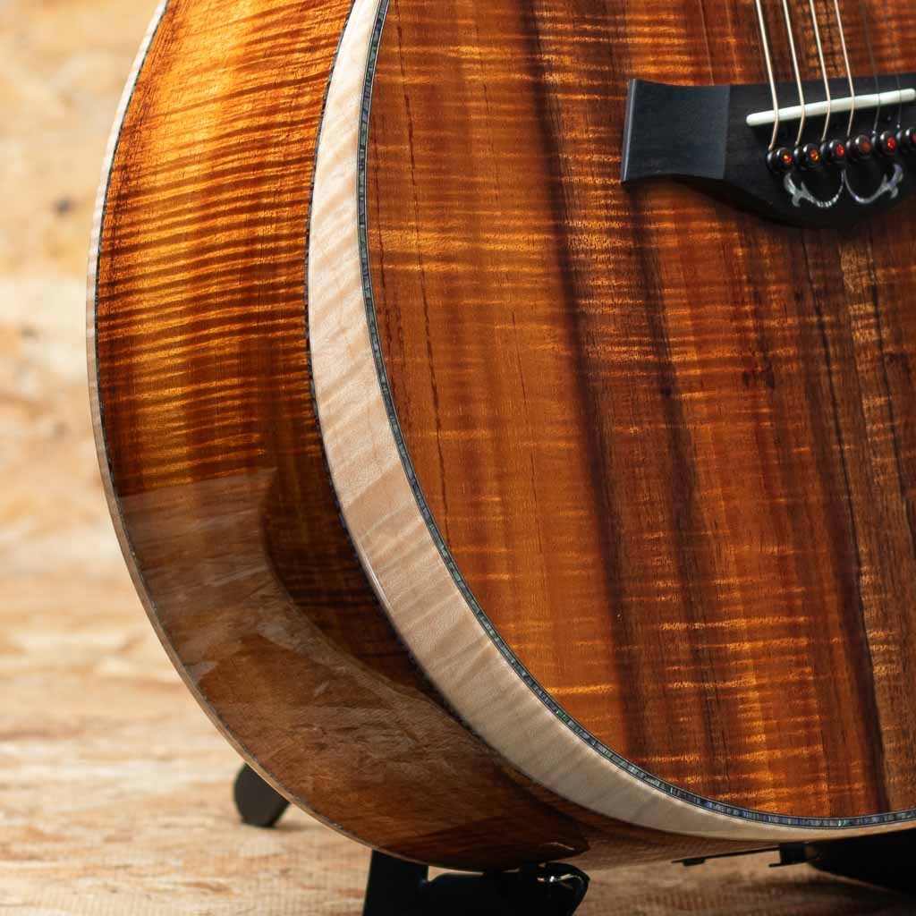 Taylor Grand Auditorium Custom -MIKI 200th Anniversary-（新品