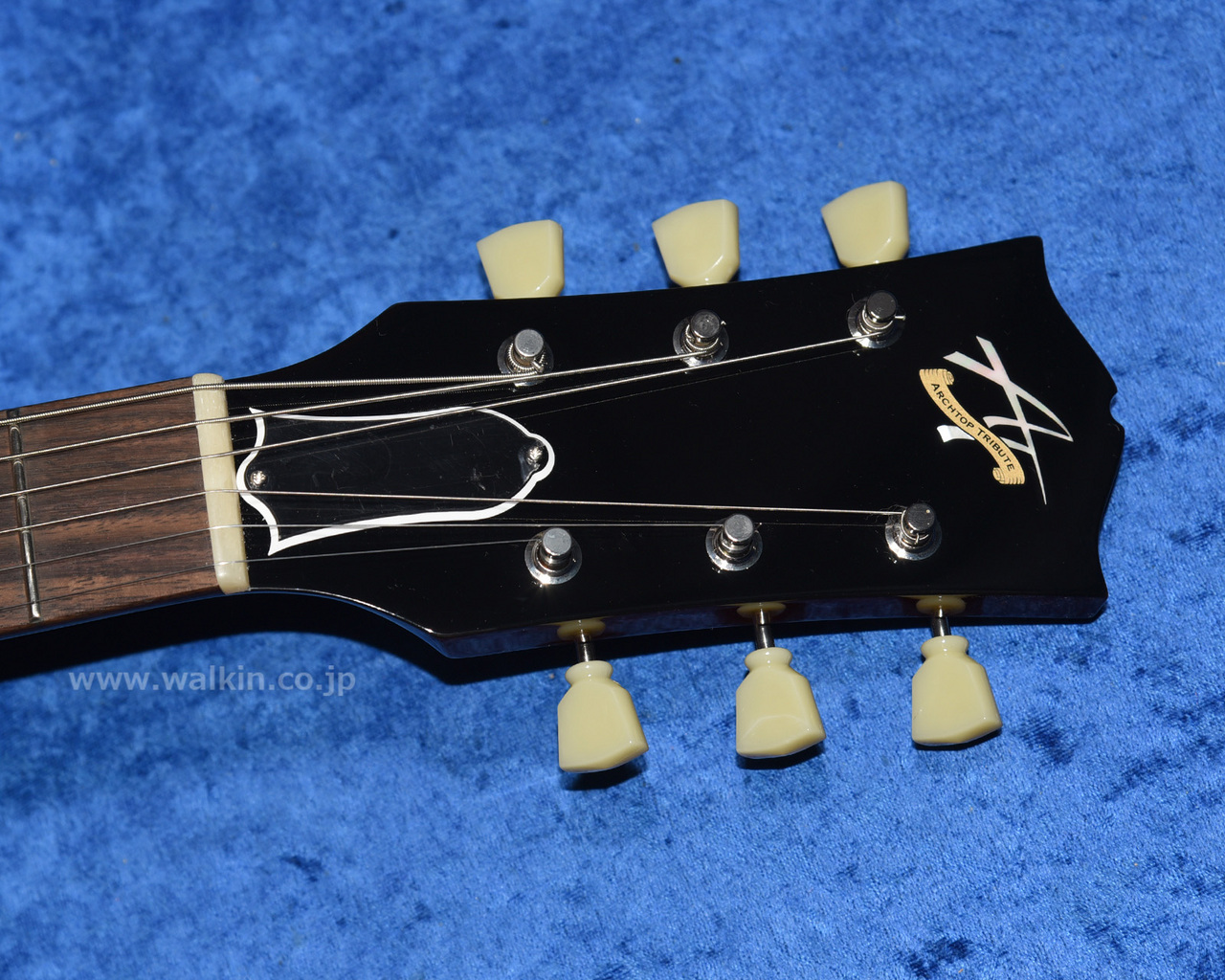 Archtop Tribute AT101 Classic（新品）【楽器検索デジマート】